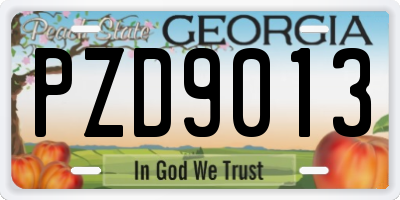 GA license plate PZD9013