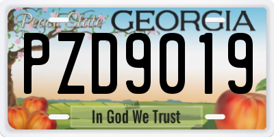 GA license plate PZD9019