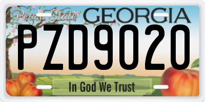 GA license plate PZD9020