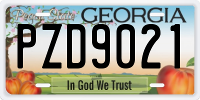 GA license plate PZD9021