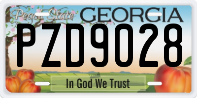 GA license plate PZD9028