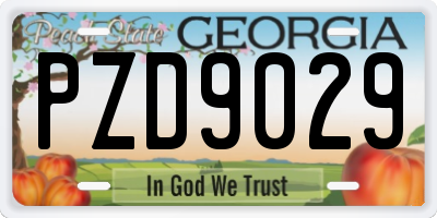 GA license plate PZD9029