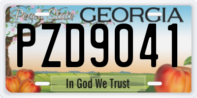 GA license plate PZD9041