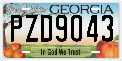 GA license plate PZD9043