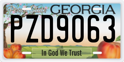 GA license plate PZD9063