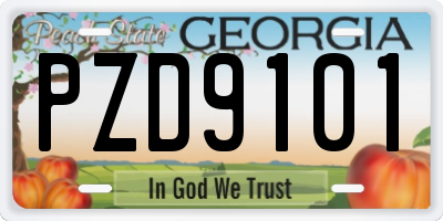 GA license plate PZD9101