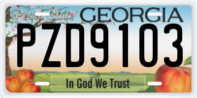 GA license plate PZD9103