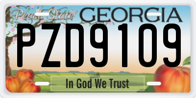 GA license plate PZD9109