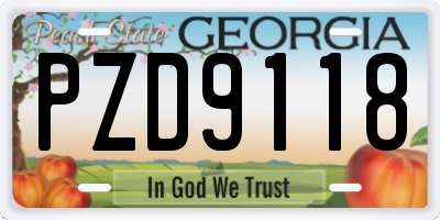 GA license plate PZD9118