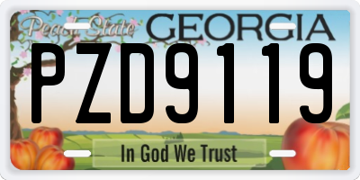 GA license plate PZD9119