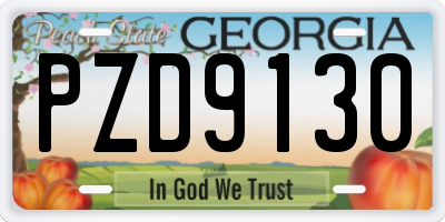 GA license plate PZD9130