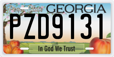 GA license plate PZD9131
