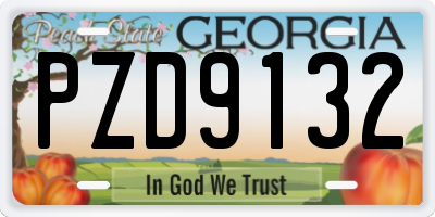 GA license plate PZD9132