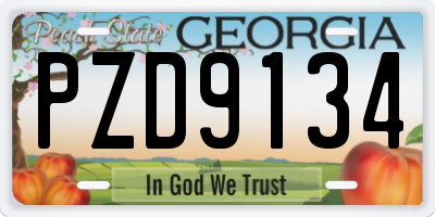 GA license plate PZD9134