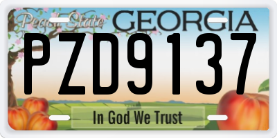 GA license plate PZD9137