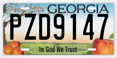 GA license plate PZD9147