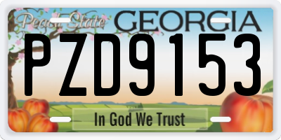 GA license plate PZD9153