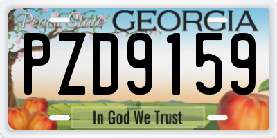 GA license plate PZD9159