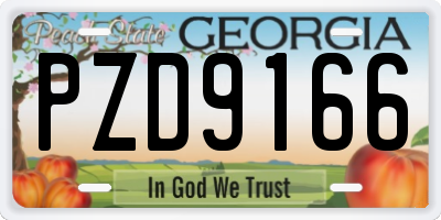 GA license plate PZD9166