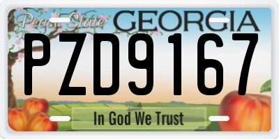 GA license plate PZD9167