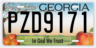 GA license plate PZD9171