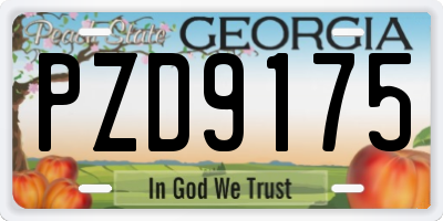 GA license plate PZD9175