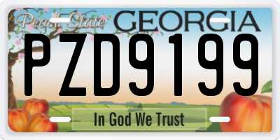 GA license plate PZD9199