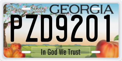 GA license plate PZD9201