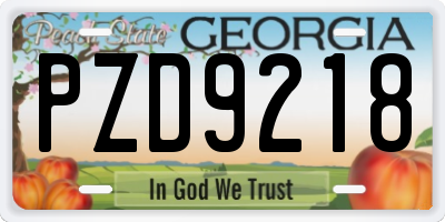 GA license plate PZD9218