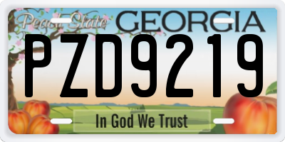 GA license plate PZD9219