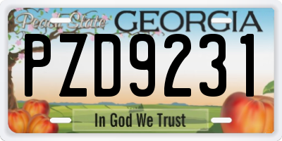 GA license plate PZD9231