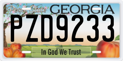 GA license plate PZD9233