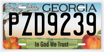 GA license plate PZD9239