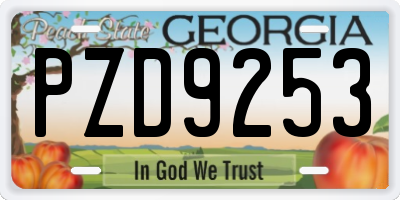 GA license plate PZD9253