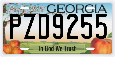 GA license plate PZD9255