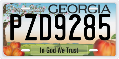 GA license plate PZD9285