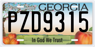 GA license plate PZD9315