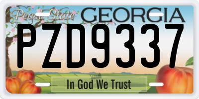 GA license plate PZD9337