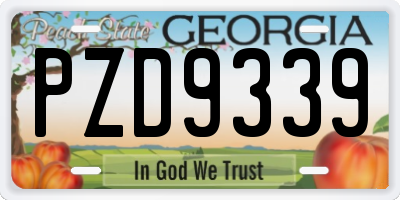 GA license plate PZD9339