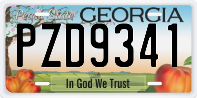 GA license plate PZD9341