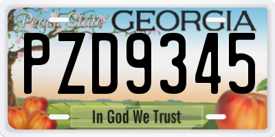 GA license plate PZD9345