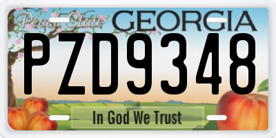 GA license plate PZD9348