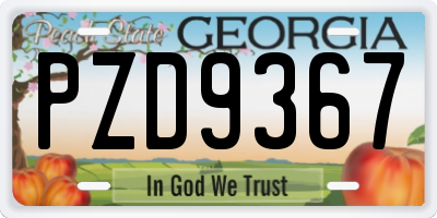 GA license plate PZD9367