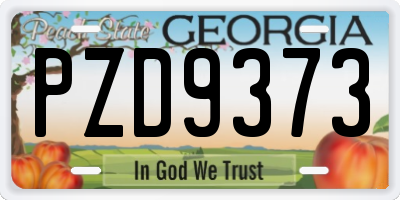 GA license plate PZD9373