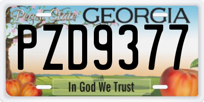 GA license plate PZD9377