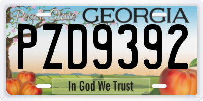GA license plate PZD9392