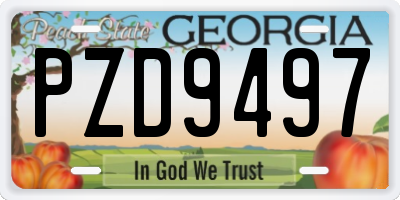 GA license plate PZD9497