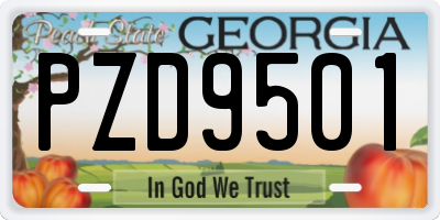 GA license plate PZD9501