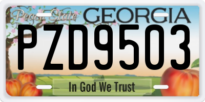 GA license plate PZD9503