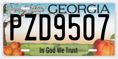 GA license plate PZD9507